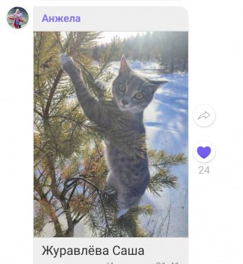 Онлайн конкурс "Природа моей земли. Зима" Результаты