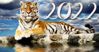 Итоги 2022 года!