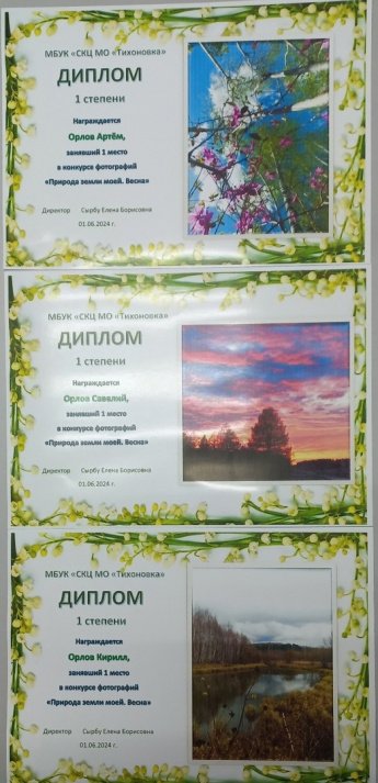 Подведение итогов конкурса фотографий